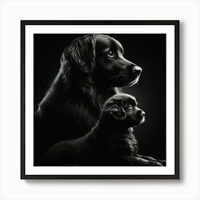 Black And White Dog Portrait Art Print