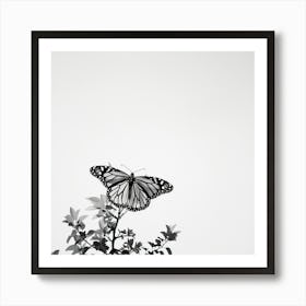 Black And White Butterfly Poster