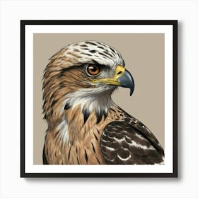 Hawk. Art Print