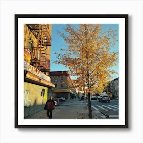 Autumn In Brooklyn Art Print