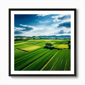 Green Farm Nature Field Landscape Countryside Agriculture Grass Gold Grow Japan Air Plan (6) Art Print