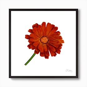 Orange Gerbera Art Print