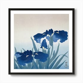 Irises 2 Art Print