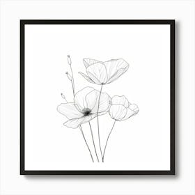 Poppies 82 Art Print