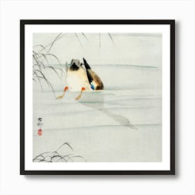 Mallard, The Head Under Water (1900 1930), Ohara Koson Art Print