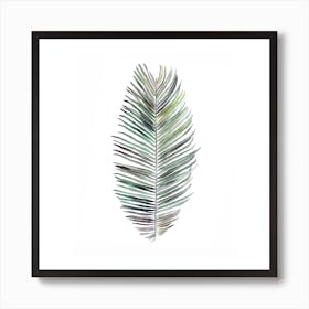 Botanical Illustration   Cocos Nucifera Art Print