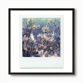 Polaroid Magnolia Blossom 03 Art Print