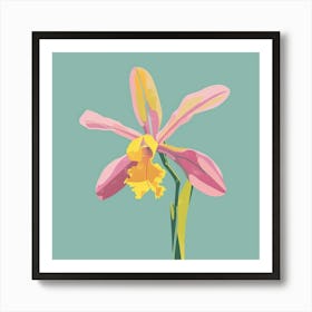 Monkey Orchid 1 Square Flower Illustration Art Print