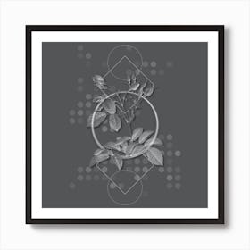 Vintage Evrat's Rose with Crimson Buds Botanical with Line Motif and Dot Pattern in Ghost Gray n.0308 Art Print