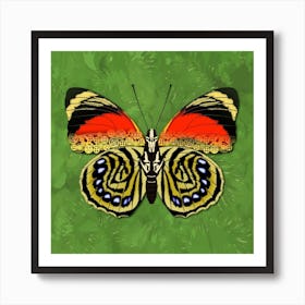 Mechanical Butterfly The Agrias Amydon Tryphon F On A Light Green Background Art Print