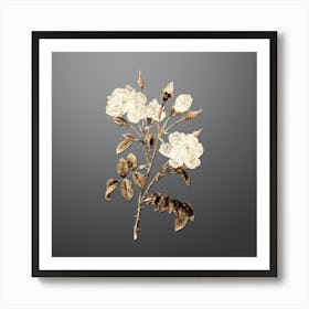 Gold Botanical White Rose on Soft Gray n.4650 Art Print