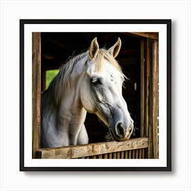 Head Purebred Equestrian Beauty Window Horse Shed Rural Farm Photo Horizontal Mare Hobby (3) Art Print