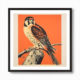 Retro Bird Lithograph American Kestrel 3 Art Print