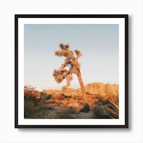 Joshua Tree Sunrise Art Print