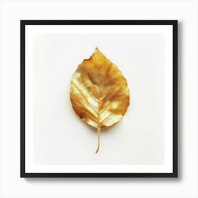 Golden Leaf On White Background Art Print