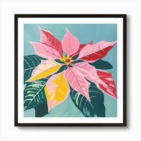 Poinsettia 2 Square Flower Illustration Poster