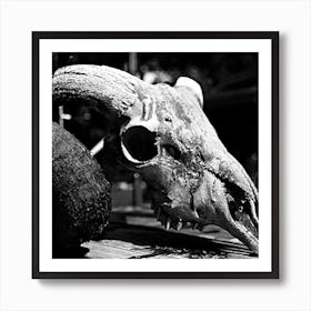 Black And White Cow Skull Art Print