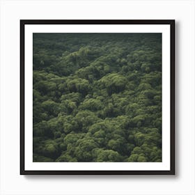 Ecuador Forest Art Print