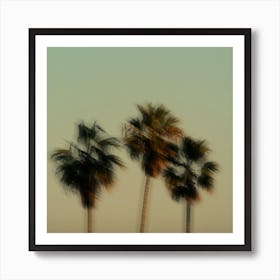 California Palm Trees Square Blurry Pastel Colors Minimalist Art Print