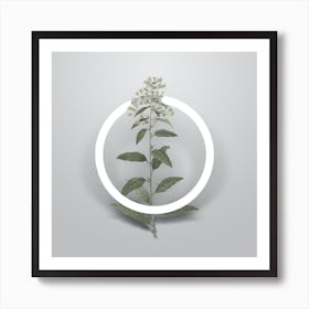 Vintage Green Cestrum Minimalist Flower Geometric Circle on Soft Gray n.0402 Art Print