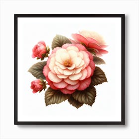 Flower of Begonia 3 Art Print