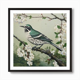 Ohara Koson Inspired Bird Painting Hermit Thrush 3 Square Art Print