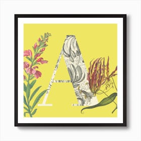 Botanical A Art Print