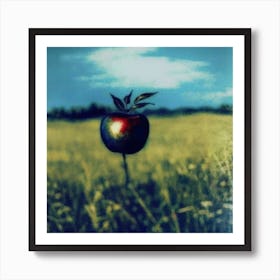 Apple In The Field Art Print