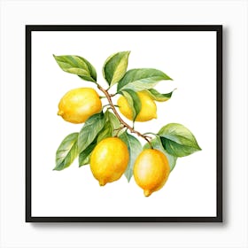 Lemons On A Branch 2 Art Print