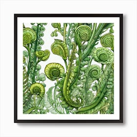 Ferns 6 Art Print