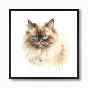 Chocolate Point Himalayan Cat Portrait 3 Art Print