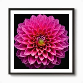 Vibrant pink dahlia flower 7 Art Print