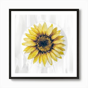 Sunflower Art Print