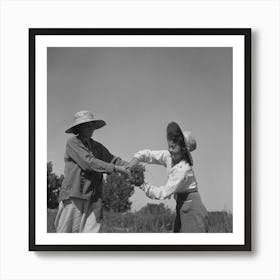 Malheur County, Oregon, Japanese Americans And Americans Working In A Celery Field By Russell Lee Art Print