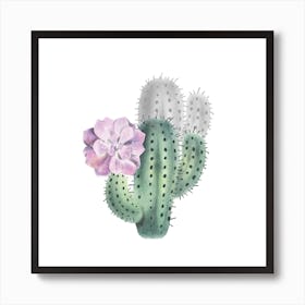 Cactus V Art Print Art Print