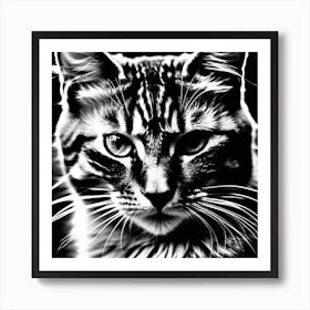 Black And White Cat 4 Art Print