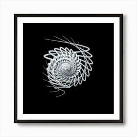 Spiral Spiral Art Print