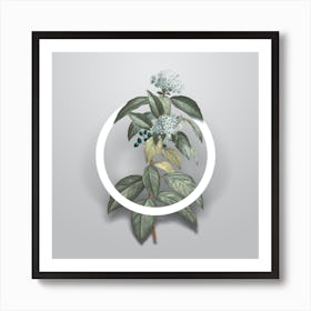 Vintage Laurustinus Minimalist Flower Geometric Circle on Soft Gray Art Print