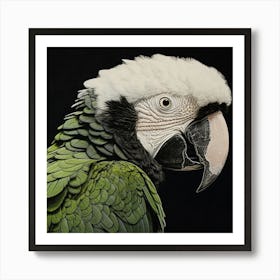 Ohara Koson Inspired Bird Painting Macaw 2 Square Art Print