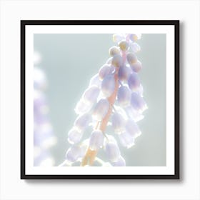 Hyacinths Art Print