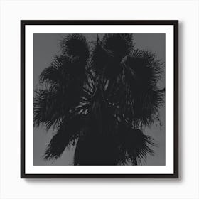 Palm Tree Close Up Square Photo Photography Black And White Gray Grey Nature Bedroom Living Room Art Print