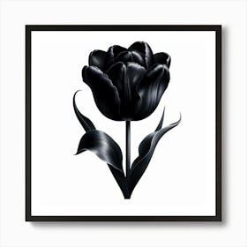 Black Tulip Art Print