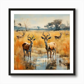 Antelopes In Water Poster