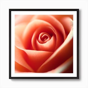 Photograph - Pink Rose Art Print