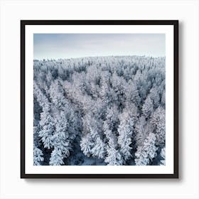 Aerial View Of Snow Covered Pine Forest Art Print