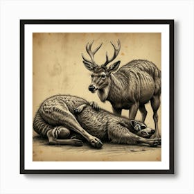 Deer Laying Down Art Print