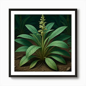 Botanical Leaves Art Print