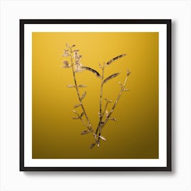 Gold Botanical Spanish Broom on Mango Yellow n.4311 Art Print