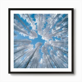 Looking Up In The Snow Art Print