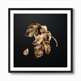 Gold Botanical Fig on Wrought Iron Black n.0180 Art Print